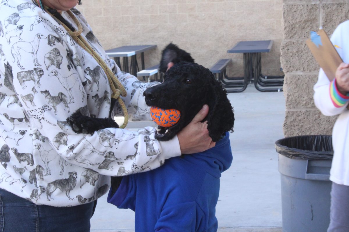 UC High Welcomes New Therapy Dog to Support Students